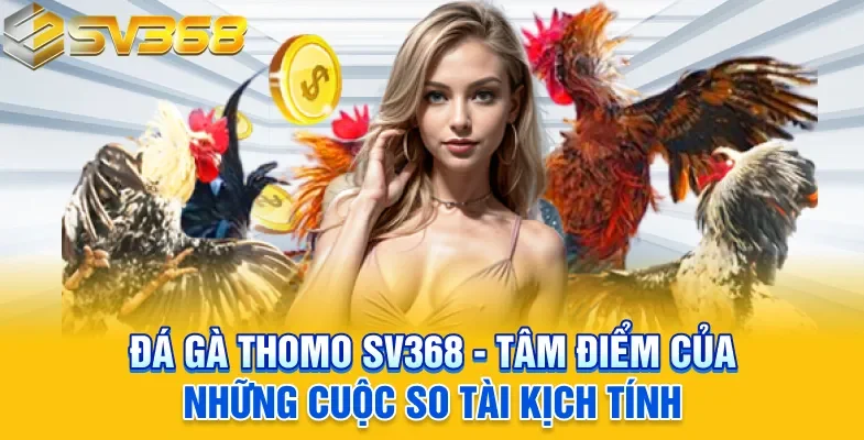 đá gà Thomo
