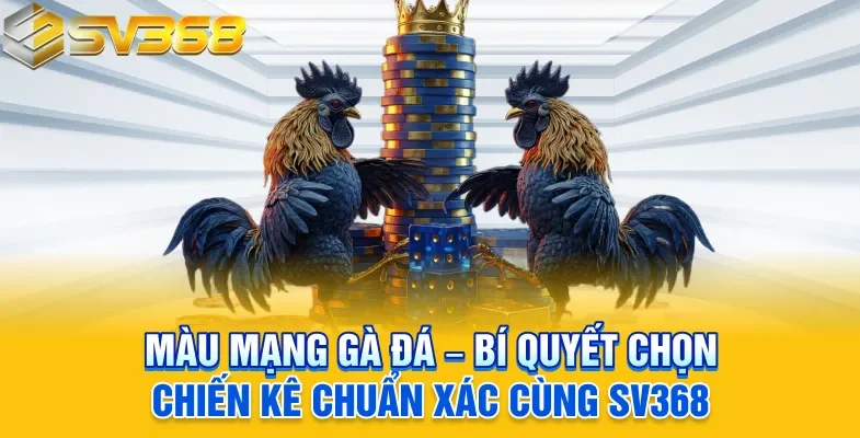 Màu mạng gà đá